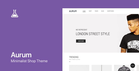 Aurum WordPress & WooCommerce Shopping Theme Aurum WordPress & WooCommerce Shopping Theme