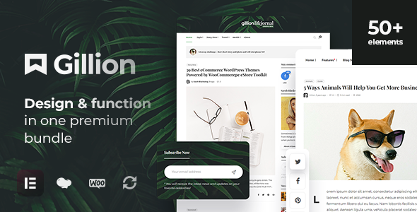 Gillion Multi-Concept Blog Magazine & Shop WordPress AMP Theme Gillion Multi-Concept Blog Magazine & Shop WordPress AMP Theme
